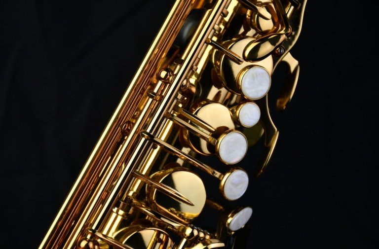 Close-up_m_PMSA-180_007