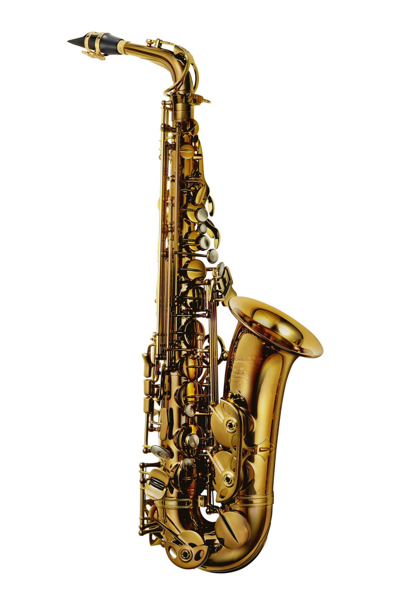 Grand Dreams 285 Alto