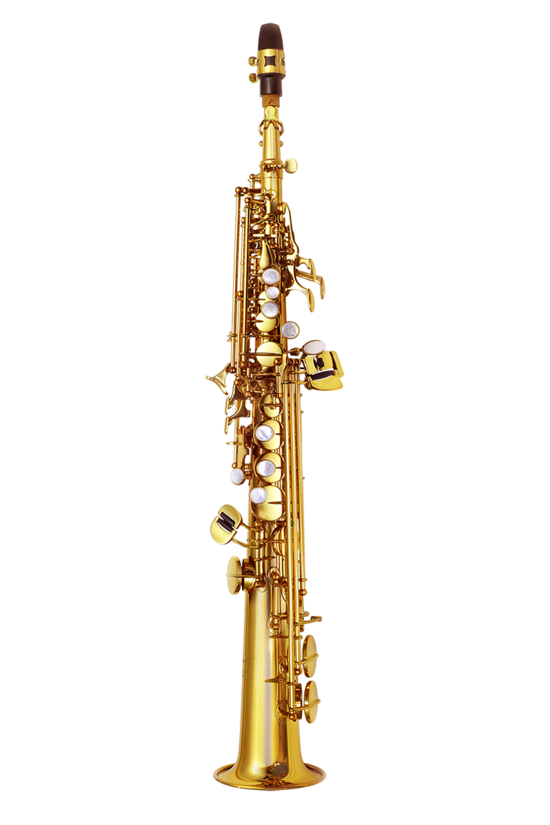 PMSS-185